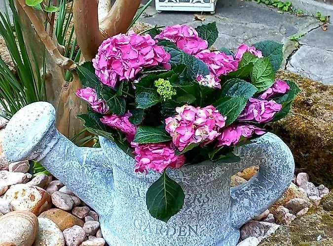 Arcoveggio 3* Bolonya